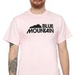 Load image into Gallery viewer, Short Sleeve T-Shirt with Blue MTN Logo